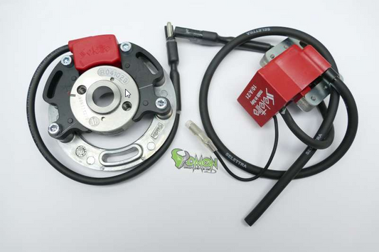 Selettra Zündung analog, Rennzündung, Sachs, Hercules Kreidler, Zündapp